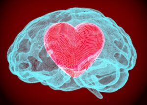 Scopri di più sull'articolo Il cervello innamorato: cosa succede nel cervello quando amiamo?