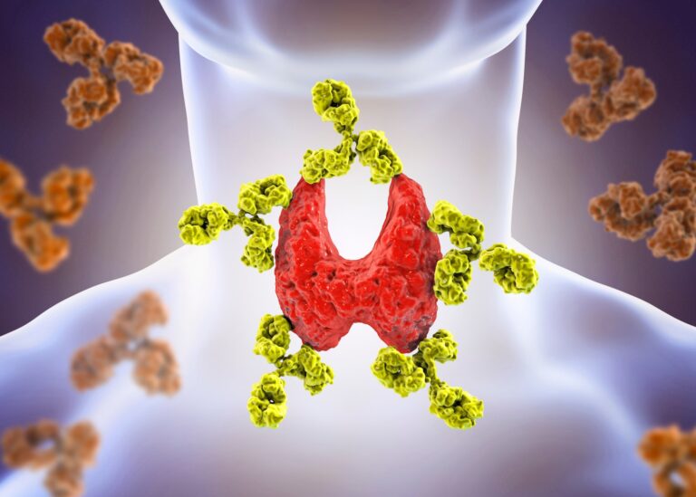 Scopri di più sull'articolo Autoanticorpi tiroidei: cosa sono?