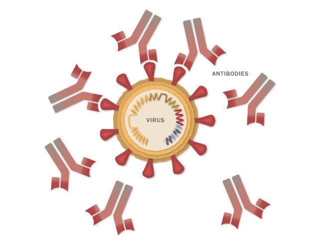 come fermare il virus