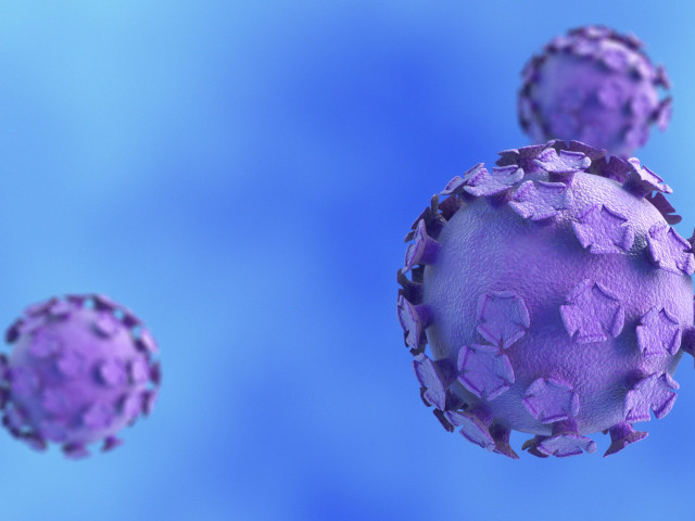 papilloma virus